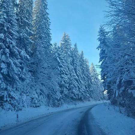 Apartament Nana 005 Jahorina